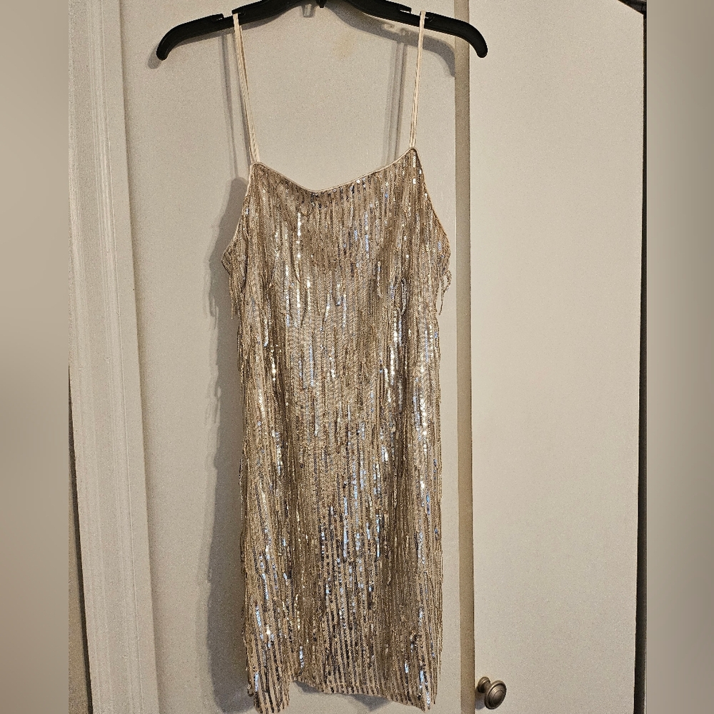Gold Sequin Fringe Dress